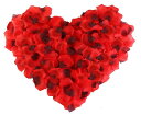 RuiChy シルク造花バラの花びら 1000枚 結婚式の花 ホームパーティー ロマンチックな夜 記念日 バレンタインデー レッド