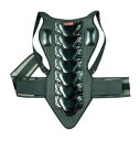 南海部品(NANKAI) バイク用 レーシングバックプロテクターZEZTON2 ロング FREE NBP5