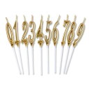 Phyxiul バースデー ナンバー キャンドル 0〜9 10点セット 誕生日 お祝い 高級 ろうそく 記念日キャンドルウエディングパーティー卒業パーティー (...
