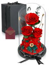 X XBEN プリザーブドフラワー プレゼント 可愛い 3輪 バラ 永遠の花 結婚記念日 ガラスポット ケース入り ぶりざーどフラワー バラ ローズ メッセージ...