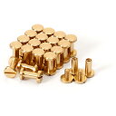 シカゴスクリュー 20個入り 8×4×9mm 真鍮組ネジ コンチョ バッグ ベルト 底びょう リベット スタッズ パーツ 鋲 リベット スタッド ネジ式 レザークラフト DIY ハンドメイド パーツ