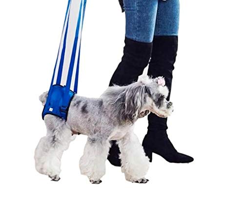 犬 ハーネス 小型犬 介護 介助 散歩 歩行補助 老犬 後ろ足用 抜けない リード 介護用品 (M, ブルー)…