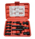 TSUCIA パイロットベアリングプーラーセット 8-29mm 内掛け対応 車 バイク ベアリング交換 ベアリングツール 10点セット