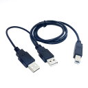 cablecc デュアルUSB 2.0オス→標準BオスYケーブル 80...(2)