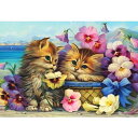DIYクロスステッチキットダイヤモンド絵画5D塗装キット、素敵な猫の子猫の花WOWDECORフルドリルDIYダイヤモンドアートペイント数字油絵 (ネコ)(3)