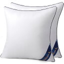 Belinna クッション中身 45x45cm*2(他のサイズもある)厚い 潰れない 二個セット cushion 背もたれ ソファークッション ヌードクッション...
