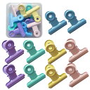 5WYOUKE 目玉クリップ 10個セット 3cm 小さい かわいい 文房具 オフィス用 クリップ 文書 ファイル 密封クリップ 金属 事務用品 ペーパー 文書 ファイル レシート バインダークリップ 食品保存 便利 耐久性 錆びにくい カラー ( ピンク、ブルー、グリーン、イェロー、パ