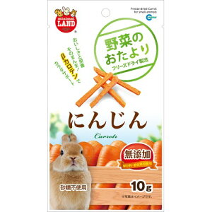 野菜のおたより にんじん 10g マルカン【4906456560289】うさぎ　おやつ　ウサギ