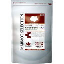 モルモットセレクション 750g 4970768842289 イースター 国産 総合栄養食