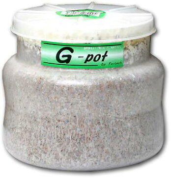 フォーテック　菌糸ビン【G-pot】(900cc)　 ＊昆虫/エサ/幼虫用/菌糸瓶　菌糸ビン　クワガタ飼育用品　幼虫飼育用品　ジーポット