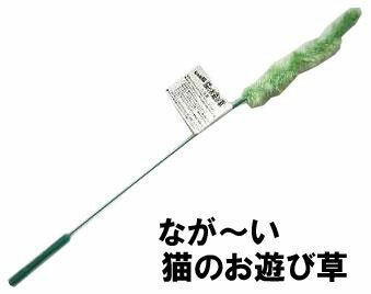 じゃれ猫【なが〜い猫のお遊び草】約51cm【国産】ドギーマン【4976555843637】猫用品/おもちゃ/猫じゃらし　エノコロ草　長いねこ草　ねこちゃんのおもちゃ　ねこじゃらし