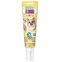 コング チューブペースト チーズ 140g コング専用ペースト 全犬種 成犬用 0035585740706