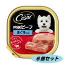 シーザー 吟選ビーフまぐろ入り ふわふわローフタイプ 100g 6個セット 4902397790013-6 ドッグフード 成犬