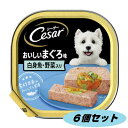 シーザー おいしいまぐろ白身魚・野菜入り ふわふわローフタイプ 100g 6個セット 4902397835813-6 ドッグフード 成犬