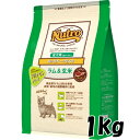 ニュートロ ナチュラルチョイス 超小型〜小型・成犬用【ラム&玄米】(1kg) 4562358786679