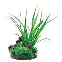GEX 癒し水景 アクアキャンバス シペルス 4972547035103 観賞魚水槽用 水中レイアウト 水草