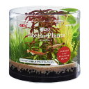 GEX 癒し水景 ボトルプランツ ロタラ 4972547039859 観賞魚水槽用 水中レイアウト 水草