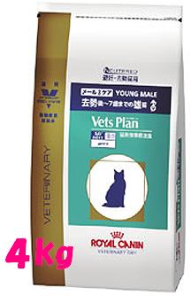 ベッツプラン【メールケア】 4kg　ロイヤルカナン　Vets Plan【猫用療法食】《ドライ》