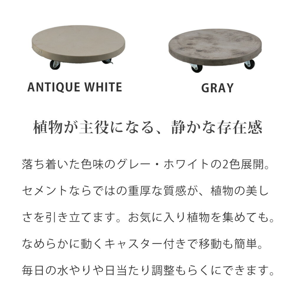 �����������㥹�����դ��ץ�󥿡�����꡼36cm 2���� TR360-2P ľ��36 ������� �ե�������� �١��� ���㥹���� ��� ȭ�֤� ���� �ץ�󥿡� ������� ����ƥꥢ ���� �٥��� �����ǥ�