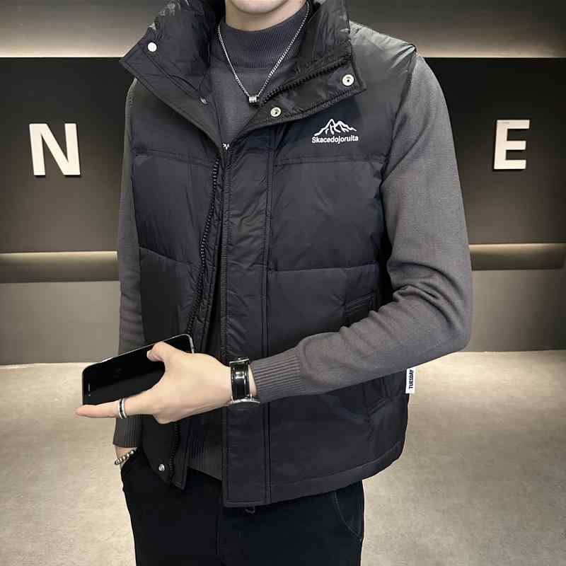 メンズ 服 シンプル ファッション オシャレ 大人 かっこいい 大きいサイズ ストリート 紳士服 ダウン ベスト 秋冬 アウター カジュアル スタンドカラー 軽 暖かい