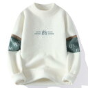 秋冬 メンズ 服 シンプル ファッション オシャレ 大人 かっこいい 大きいサイズ ストリート 紳士服 セーター ハーフ タートルネック 秋冬 ミッド カラー