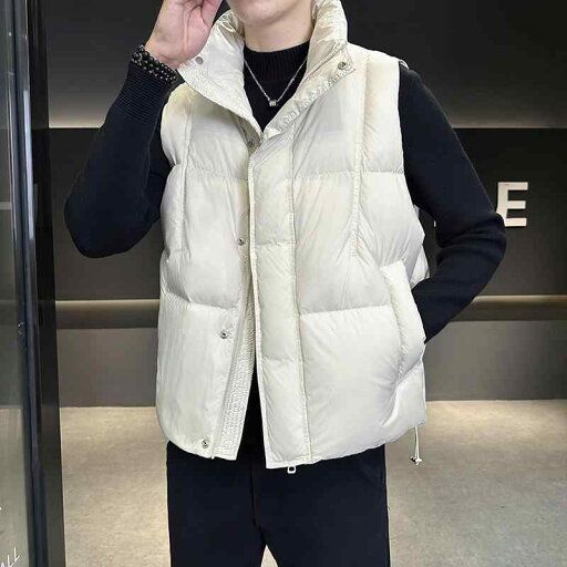 秋冬 コーデ メンズ 服 シンプル ファッション オシャレ 大人 かっこいい 大きいサイズ ストリート 紳士服 ダウン ベスト スタンドカラー 厚手 暖かい アウター ジャケット 秋冬 コーデ メンズ 服 シンプル ファッション オシャレ 大人 かっこいい 大きいサイズ ストリート 紳士服 ダウン ベスト スタンドカラー 厚手 暖かい アウター ジャケット