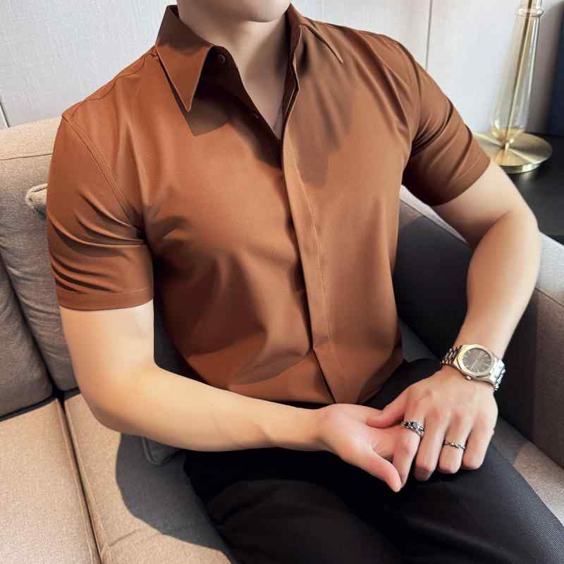     ץ եå   ä 礭 ȥ꡼ » ݥƥåɥ顼 ܥ...
