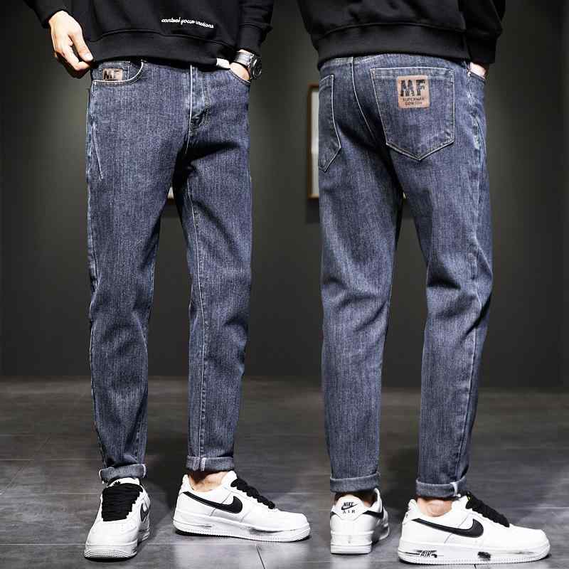     ץ եå   ä 礭 ȥ꡼ »  ȥ졼 饤֥֥ɥ㥹   ѥ