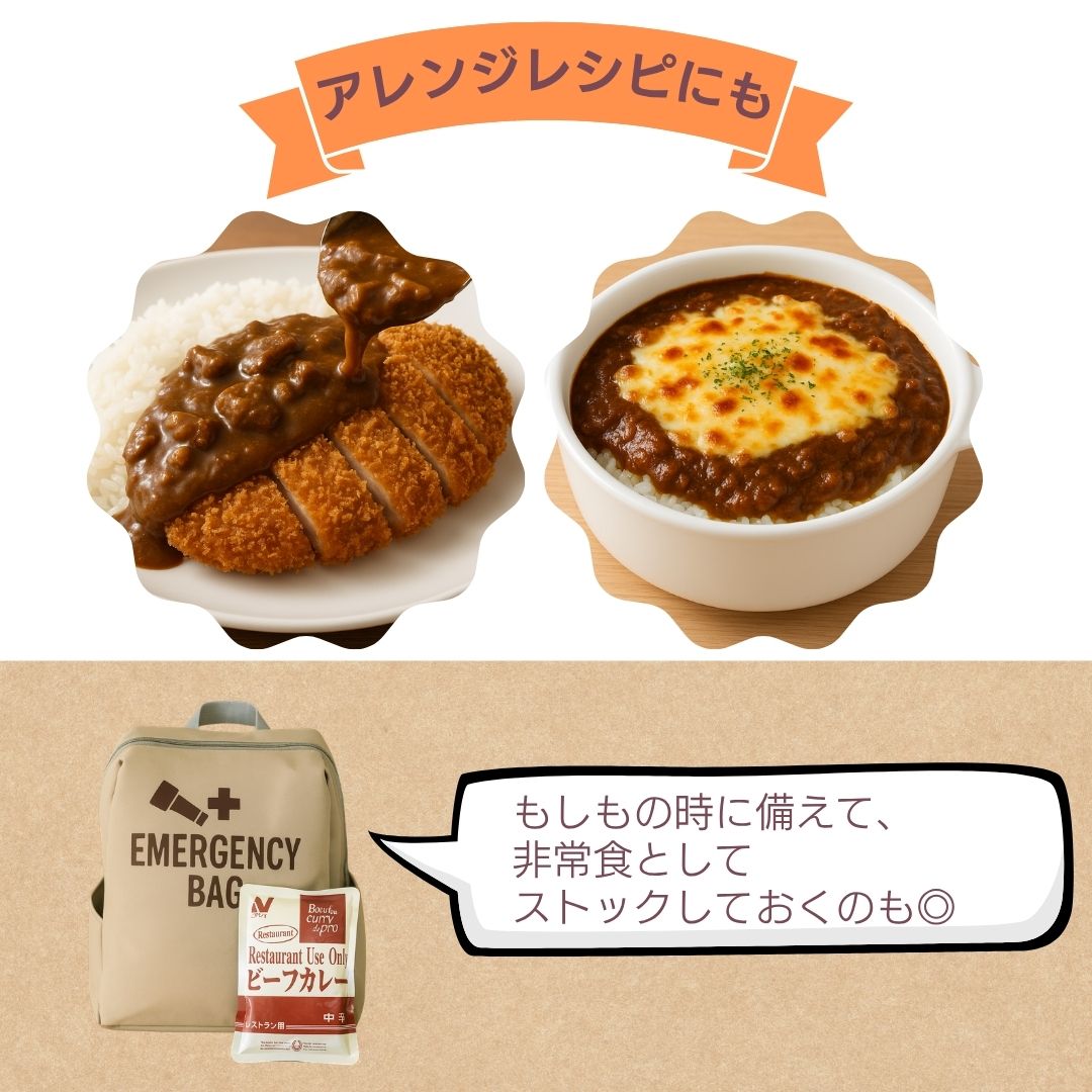 1000円ポッキリ 送料無料 カレー レトルトカレー ニチレイ レストランユース ビーフカレー 中辛 業務用 レトルト食品 常温保存 防災 レトルト 200g 非常食 備蓄 ニチレイフーズ 1個 1食 千円ポッキリ メール便 lictools-10000318 Lic Tools サンプル画像3