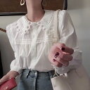 サークルレースカラーブラウス ■ シャツ ブラウス OL オフィス セレブ blouse トップス 通勤 かわいい 大人