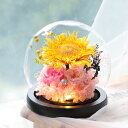 向日葵のドーム ■ プリザーブドフラワー 母の日 ギフト プレゼント 誕生日 お祝い 花 ドライフラワー 退職祝い 20代 30代 女性 40代 50代 60代...