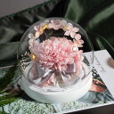 幸せの虹 ■ プリザーブドフラワー 母の日 ギフト プレゼント 誕生日 お祝い 花 ドライフラワー 退職祝い 20代 30代 女性 40代 50代 60代 女性...