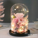 ライト付きフラワーガラスドーム ■ プリザーブドフラワー 母の日 ギフト プレゼント 誕生日 お祝い 花 ドライフラワー 退職祝い 20代 30代 女性 40代...