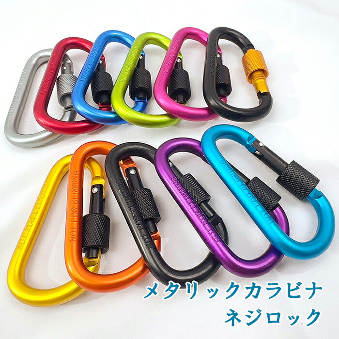 訳あり カラビナ Dカン 【ネジ式】 メタリック 大き目 ナスカン カラー 2トーン おしゃれ キーホルダー フック キャンプ