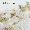 可愛い巻貝パーツ 貝殻 シェル チャーム アクセサリー ピアス イヤリング ネックレス シンプル DIY ハンドメイド 資材 貝のアクセサリー 巻貝 センターパーツ