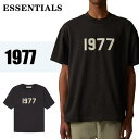 ESSENTIALS エッセンシャルズ Tシャツ 半袖 メンズ レディース 1977 Logo T-Shirt ロゴ Tシャツ ブラック