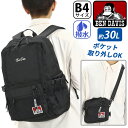 xfCrX BEN DAVIS bN ʊw bNTbN  30L e |[` obNpbN fCpbN obO ΂ Y fB[X jZbNX ʋ  lC SYSTEM DAYPACK BDW-8320