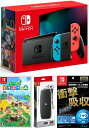 【無料ラッピング対応】Nintendo Switch Joy-Con(L)/(R) ネオン あつまれ どうぶつの森 （ソフト） キャリングケース 保護フィルム任天堂スイッチ 本体クリスマスクリスマスラッピングお誕生日