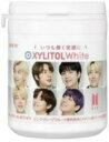 【15時までのお支払い完了で即日出荷可(営業日のみ)】XYLITOL キシリトールガム BTS キシリトールボトル1個（Fパターン）