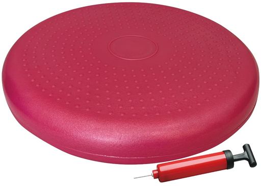秦運動具工業 HATAS(ハタス) バランスディスクポンプ付セット DK450P