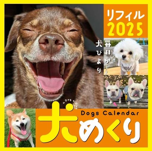 【掲載期間】2025年1月1日~12月31日 【枚数】320枚 土日1ページ 【生産国】日本 【サイズ】15.6x15.6cm 裏面メモ欄付き