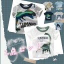 【楽天ランキング2位獲得商品！最安値挑戦中送料無料】男の子 白 灰色 Tシャツ ブラウス 普段着 海 ガールズ 秋冬 春 キッズ かわいい プレゼント パーティー 誕生日 プレゼント 子供 インナー 半袖 長袖 SALE