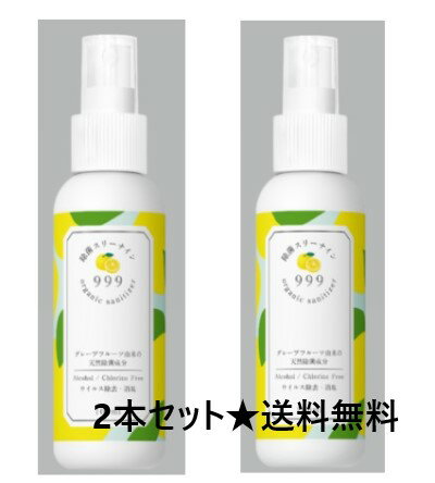 除菌スリーナイン　100ml×2本セット★マスクの除菌/抗菌に便利★