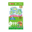 【48個セット】マルカン サンライズ ニャン太のとってもおいし草とろ〜りピューレ10g×6本