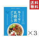 【クーポン配布中】 幸福米穀 腸まで届く乳酸菌グラノーラ フルーツ&ナッツミックス 250g×3袋セット まとめ買い 食物繊維 低GI 無添加