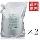 日華化学 DEMI デミ ユント スムース シャンプー 2000ml×2個セット まとめ買い 詰替 レフィル 業務用 サロン専売品 美容室 プロ