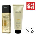 ホーユー プロマスター カラーケア スタイリッシュ シャンプー 250mL&ヘアトリートメント 200g 各2個セット ヘアケア(4)