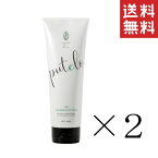 ジェイプロジェクト プテロ AR ヘア＆スカルプパック 240g×2本セット まとめ買い 本体