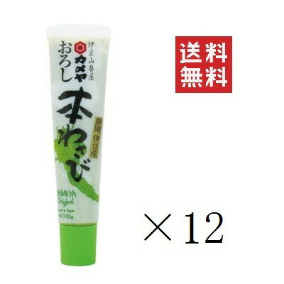 【クーポン配布中】 カメヤ食品 伊豆のわさび屋 おろし本わさび 42g×12本セット まとめ買い 山葵 ワサビ 調味料 チューブタイプ