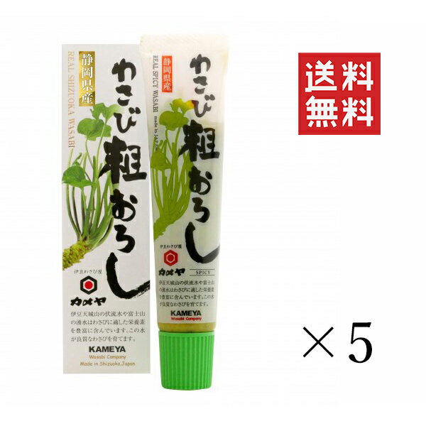 カメヤ食品 わさび粗おろし SPICY 42g×5個セット まとめ買い 山葵 薬味 ワサビ 調味料